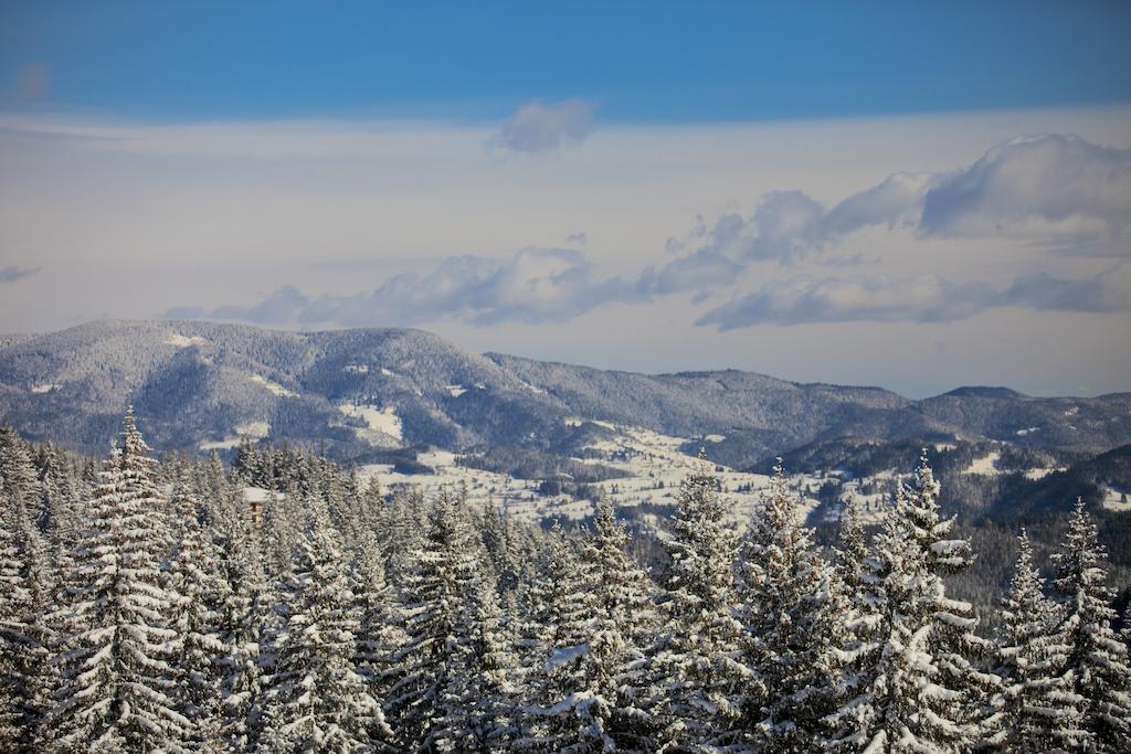 Villa Ibar Borovets Buitenkant foto