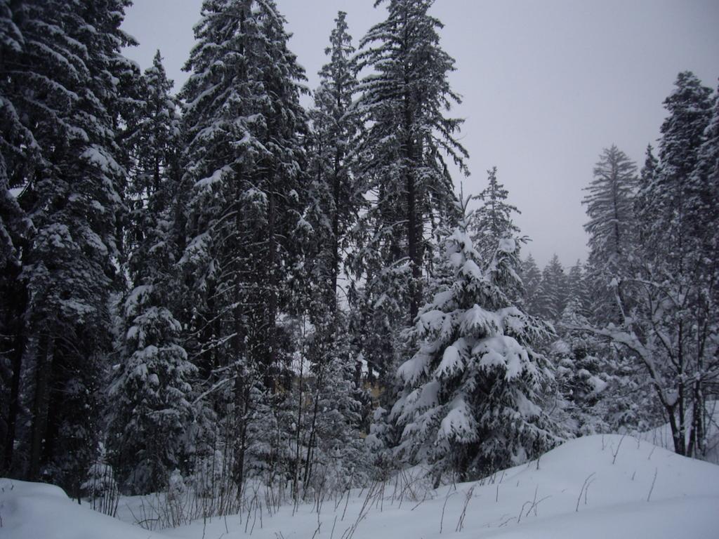 Villa Ibar Borovets Buitenkant foto